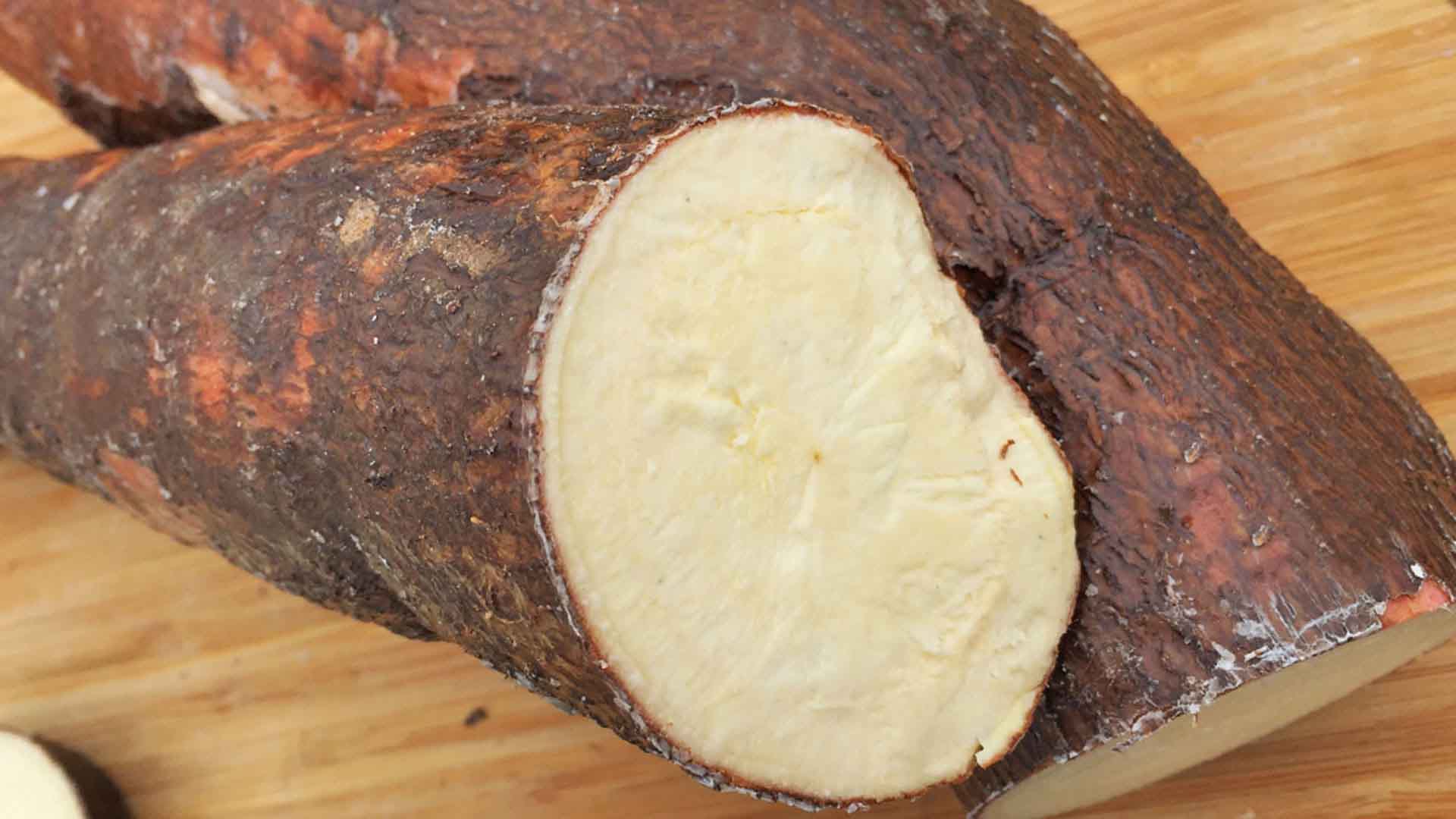 DATEANDO - INFANTE PERDIO LA VIDA POR INGESTA DE YUCA AMARGA - FOTO
