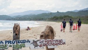 Fundacion Yammine dia de los oceanos limpieza de playas en vargas