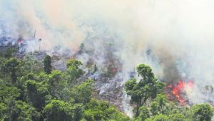 El Canciller de la República manifestó que el Gobierno nacional está presto a brindar la ayuda inmediata para detener el incendio