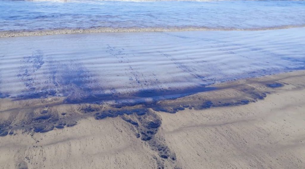 Científicos muestran preocupación ante los daños causados por los derrames petroleros en costas venezolanas