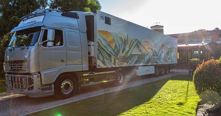 Henry Camino ¡Entérate! ‘EcoTruckstersByTaruga’ ¡El primer camión obra de arte ecológica del mundo! - FOTO