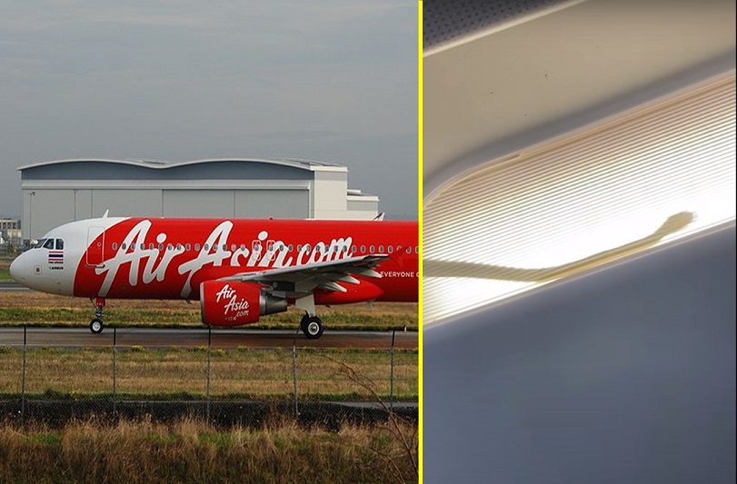 ¡Serpientes en el Avión! Vuelo de AirAsia aterriza de emergencia debido a inesperado pasajero - FOTO
