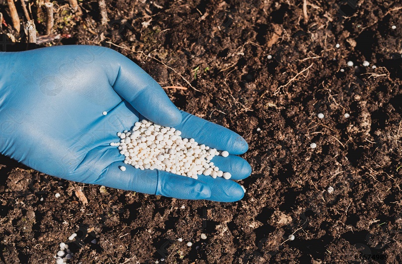 Inversiones Veniran ¡Estos son todos los tipos de fertilizantes nitrogenados! - FOTO