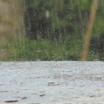 Mérida | Un hombre muerto tras deslizamiento de tierra producto de las lluvias