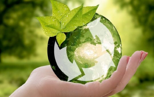 Fundación Yammine - Economía circular ¡Así es como contribuye al bienestar del ambiente! - FOTO