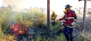 Reportan más incendios forestales en Tucupita estado Delta Amacuro