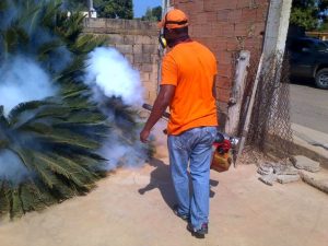 Desmienten alarma por dengue en el estado Táchira