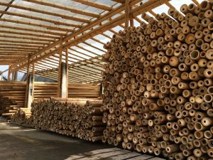 Armando Iachini - Bambú ¡Material ideal y con muchas ventajas para las construcciones! - FOTO