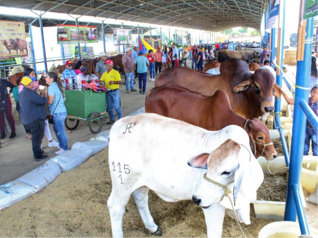 Arrancó trigésima edición de las Ferias Agropecuarias en Zaraza