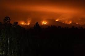 Van 24 muertos por incendios descontrolados en el sur de Chile
