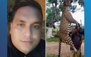 Imputarán a sujeto que mató "por placer" a un jaguar en Monagas