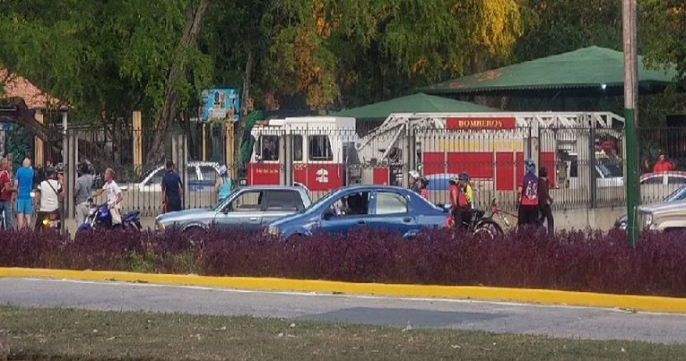 Árbol les cayó encima mientras comían en un restaurante y un niño de 5 años falleció