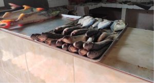 Morocoto y guaraguara, los pescados que debes probar en Delta Amacuro