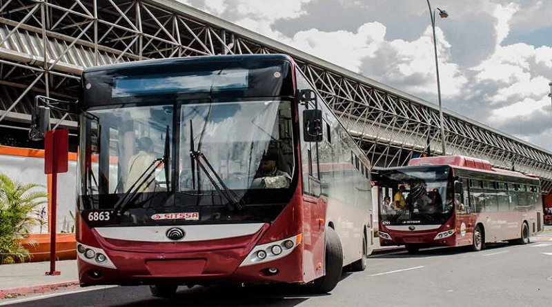 200 unidades de transporte dispuestas para traslado de aficionados en la Serie del Caribe
