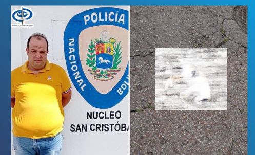 Preso por arrollar intencionalmente a un gato en Táchira