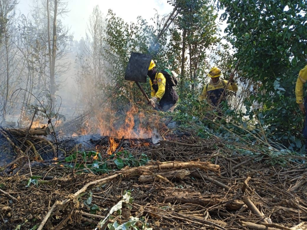 Chile: Fuerza de tarea Simón Bolívar combate fuego en Huacalemu 