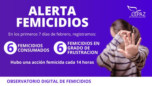 Observatorio Digital de Femicidios de Cepaz documentó seis femicidios en la primera semana de febrero