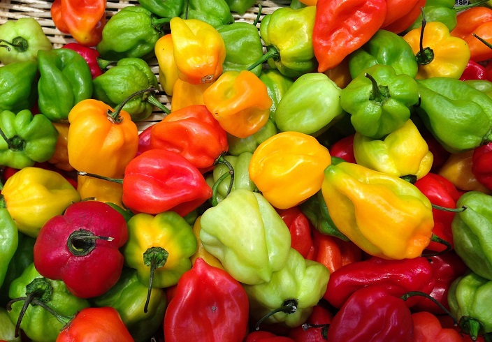 El picante es uno de los condimentos básicos en la gastronomía venezolana