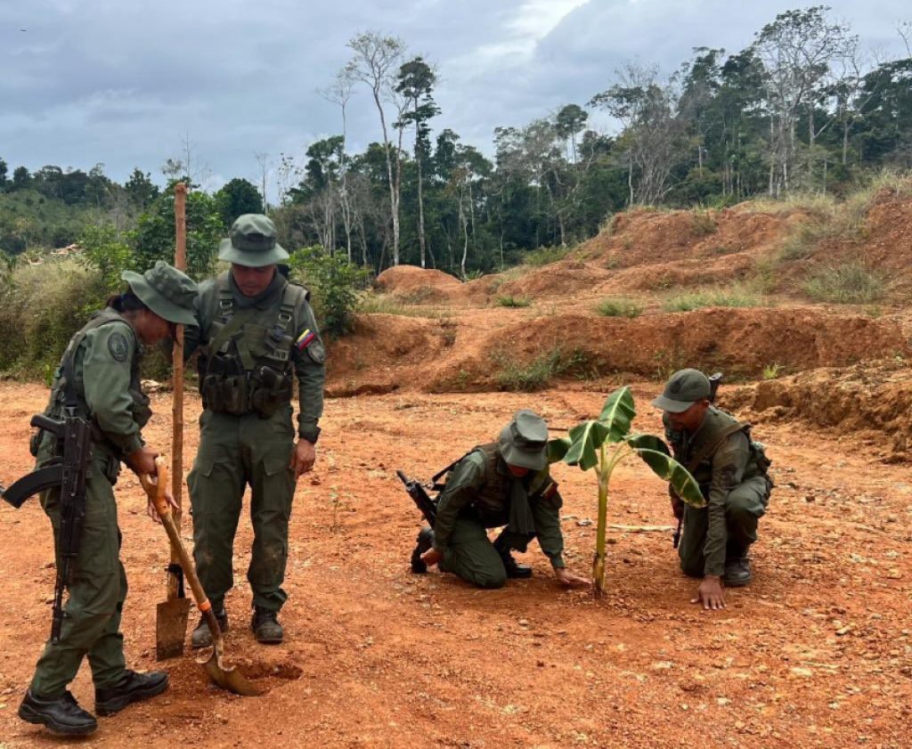 FANB continúa trabajando en Plan Nacional de Reforestación