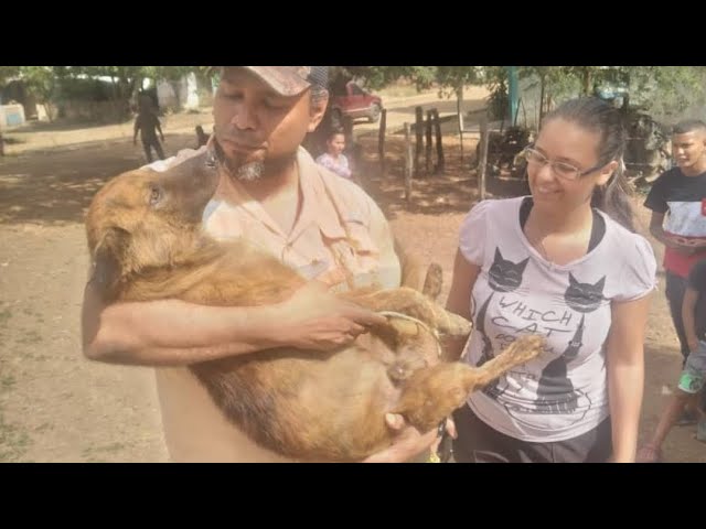 ¡Apareció Brow José! gracias a la difusión de muchos