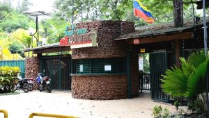 El Pinar ofrece áreas verdes y 208 animales