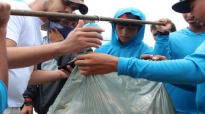 CEOVenezuela ATB Constructores y Asociacion Civil Chelonia… ¡Impulsando conciencia ecologica desde las playas de Los Roques 3 1 - ATB Constructores y Asociación Civil Chelonia, impulsando la conciencia ecológica en playas de Los Roques