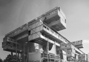 Camilo Ibrahim Issa Arbol para vivir Obra ecologica de Fruto Vivas