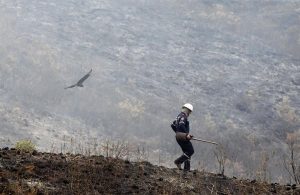 Colombia en alerta por amenaza de "El Niño" en próximos meses