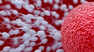 En prueba anticonceptivo para los hombres