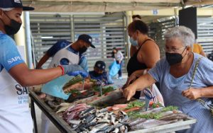 Distribuirán 200.000 kilos de pescado en Miranda