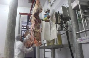 Fortalecerán plan nacional de proteína animal desde Trujillo