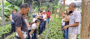 En los Valles Altos de Carabobo avanza "Plan Cacao"