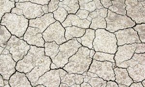 Claudio Antonio Ramirez Soto Grietas en el concreto