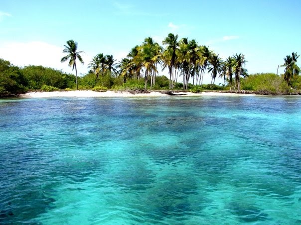 Lugar-que-garantiza-la-permanencia-del-paisaje-manglar.jpeg