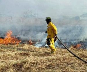 Bomberos de Monagas controlaron incendio forestal en Maturín