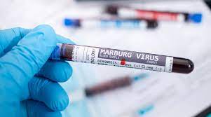 OMS prepara vacuna contra el virus de Marburgo