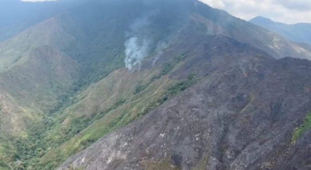 Más de 120 hectáreas han sido afectadas por incendio en el Henri Pittier