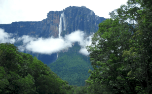 Problemas-ambientales-por-los-cuales-atraviesa-el-Parque-Nacional-Canaima.png