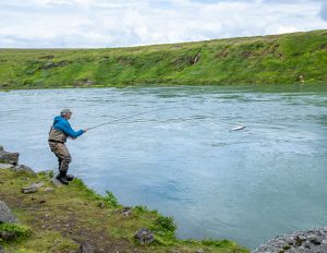 Blanda 13 1232x952 - Tadeo Arosio: The Blend of Blanda