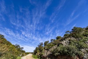 Los Melonares TMD 2020 24 1232x821 - Tadeo Arosio: The Famous Five