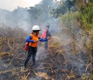 Temperaturas alcanzan 39 grados en el país