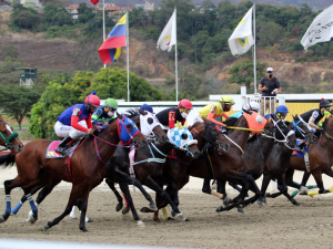 Atractivo incentivo para cuadro único en Caracas