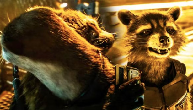 “Guardians of the Galaxy Vol.3″ estrena clip de Rocket y Lylla, la nutria