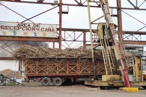Central Las Majaguas cerrará zafra con más 21 millones de kg de azúcar