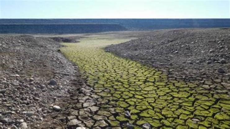 Consecuencias-de-la-sequia-en-Venezuela-por-Yammine.png