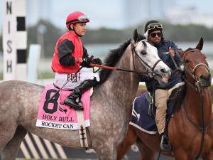 Criollo Junior Alvarado va por su primera gema de EEUU