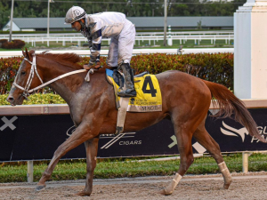 Criollos tras hazaña de Ávila, Arias y León