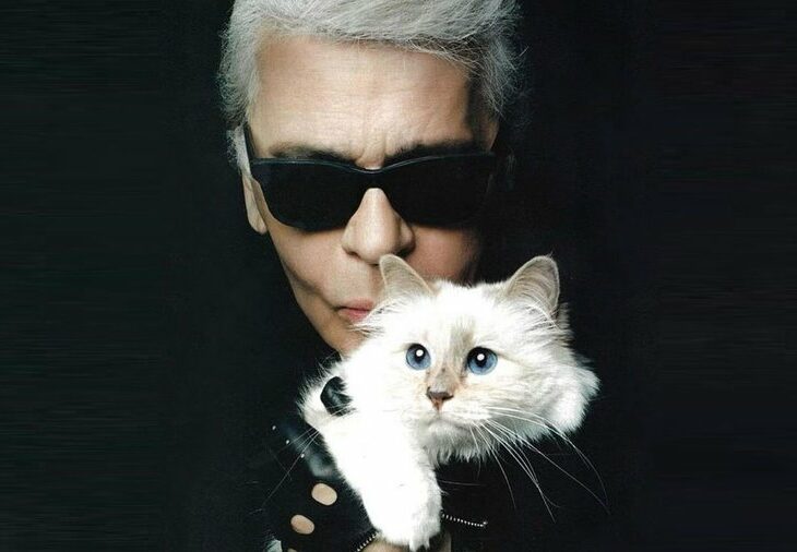 Choupette, la gata millonaria que fue invitada a la MET Gala 2023 ????????