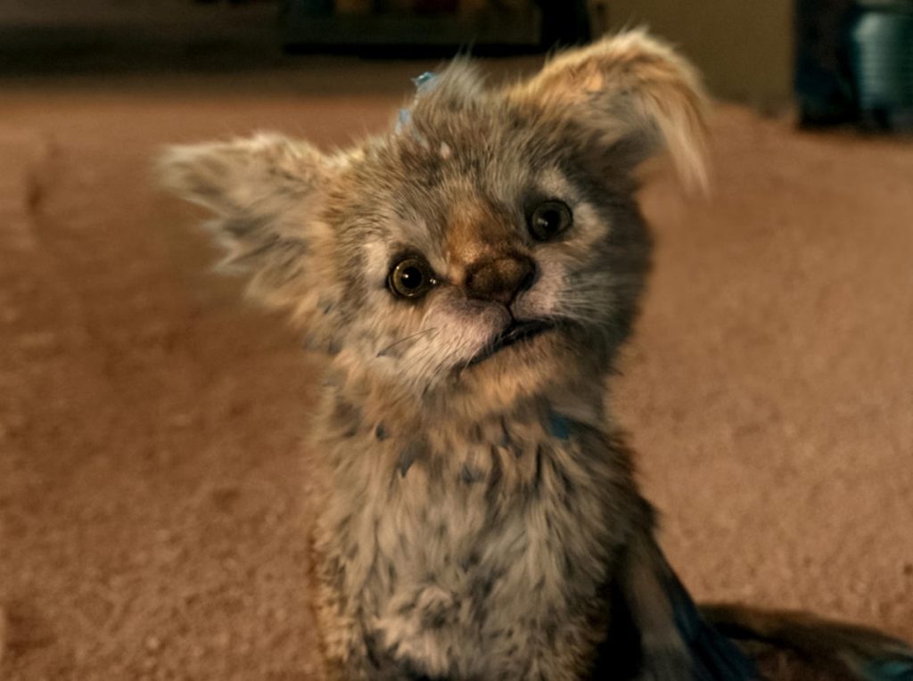 El Chupacabras llegó a Netflix para derretir de amor a la audiencia