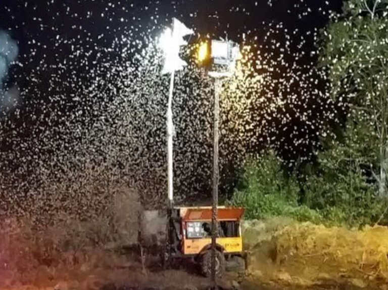En Monagas atenderán 7 mil hectáreas para combatir la palometa peluda